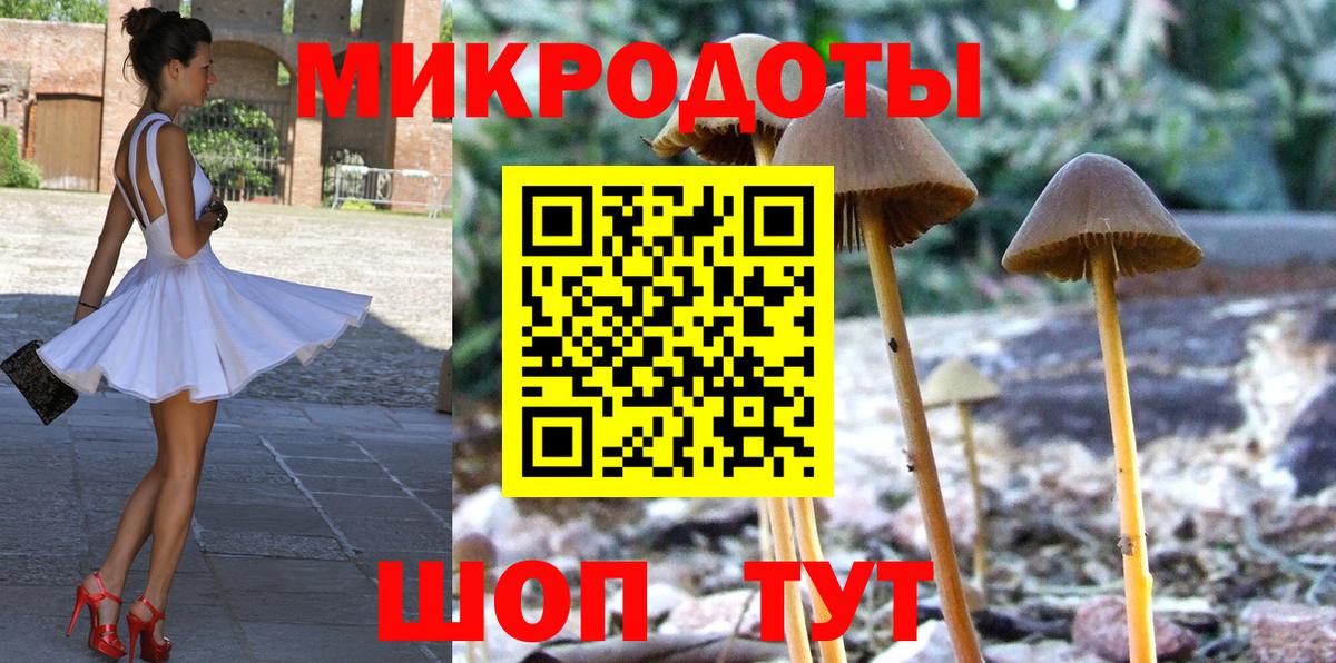 Галлюциногенные грибы MAGIC MUSHROOMS Москва