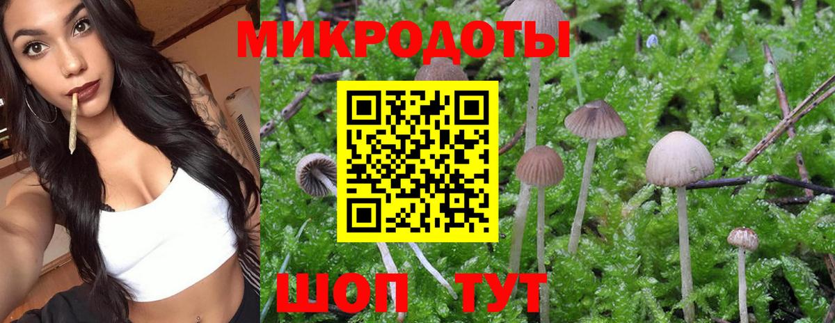 Галлюциногенные грибы Magic Shrooms  Вход с VPN  Москва 